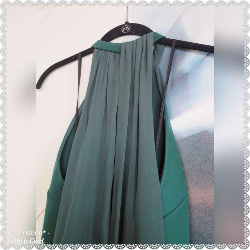 A.L.C Steff Chiffon Trapeze Dress 4 - Picture 5 of 7